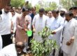 सलारपुर में जनप्रतिनिधियों के साथ वृक्षारोपण करते हुए